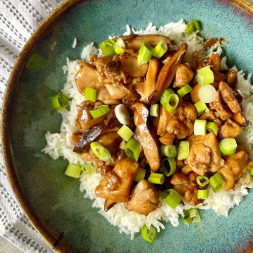 Chicken & Mushroom with Rice